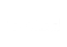 Smash Racket Pro